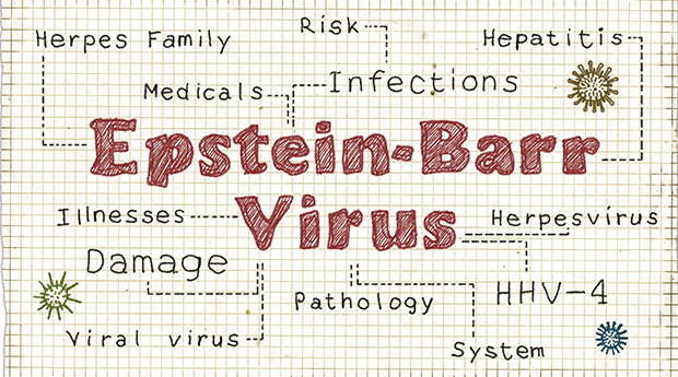 Epstein-Barr-Virus.jpg
