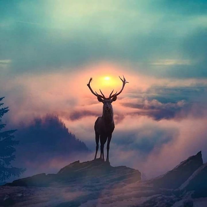 IMG_20180502_205648_866