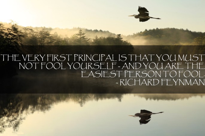 Great Blue Heron Flys Over Foggy Lake at Dawn