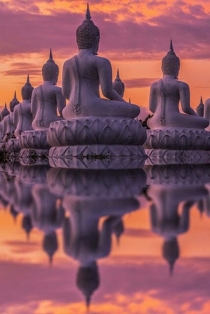 8a862c6bacfe337fc365fc52d82e97a2