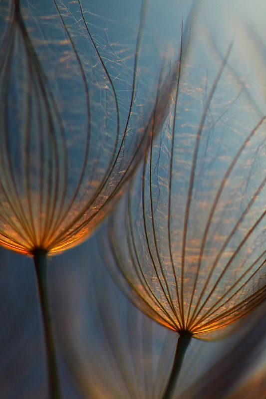 f77a65009b9168a57673dce772781f38