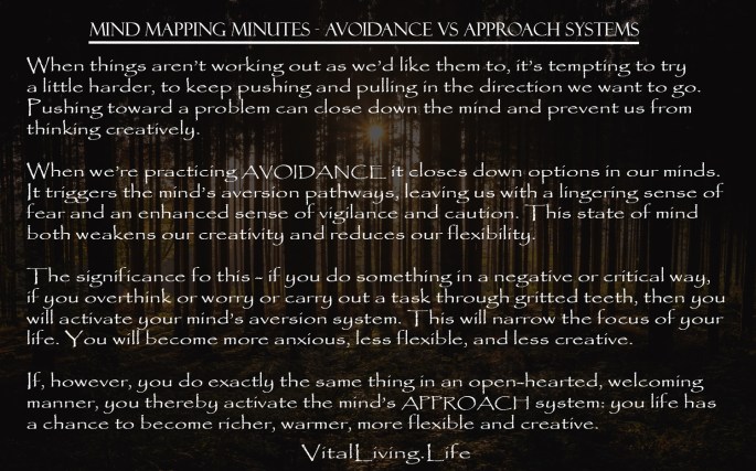 MIND MAPPING MINS AVERSION VS APPROACH SYSTEMS